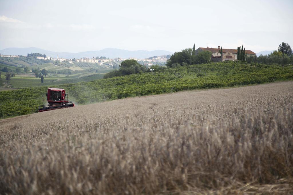 Tenuta Di Colle Alberti Cerreto Guidi Exterior foto