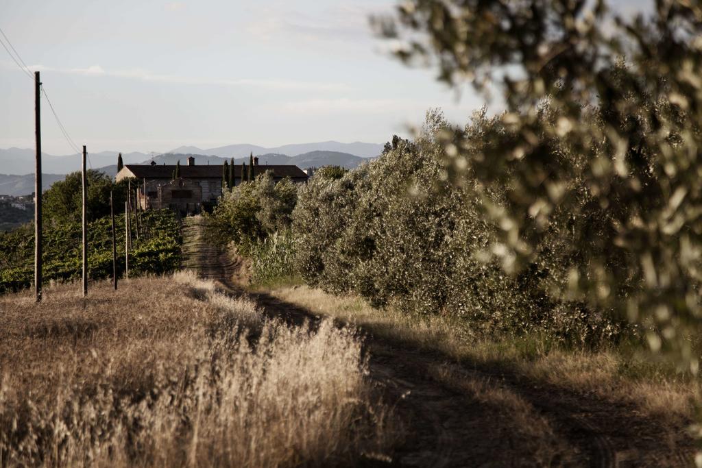 Tenuta Di Colle Alberti Cerreto Guidi Exterior foto